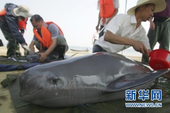 5��20�գ�����޹��Ҽ��������ౣ�����Ĺ�����Ա���п�Ժ�Ŀ�����Ա�ڼ�⽭�������״�����»��緢��Ф�� �㣩