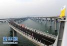 ������纣�����ൺ�����������ʽͨ��