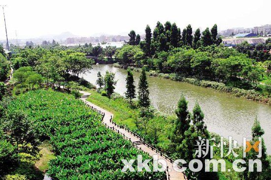 荔湾区:龙溪大道、大沙河绿道