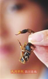 ��Ы�ӳ�û��ע�⣡