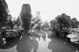 ׯ�ڶ����ӵ��������˰�Ķ�˵�