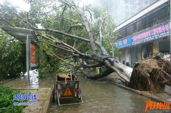 台风纳沙将于29日傍晚到达海口