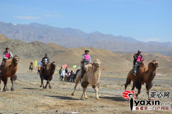 新疆乌鲁木齐市达坂城区阿克苏乡第十一届民族