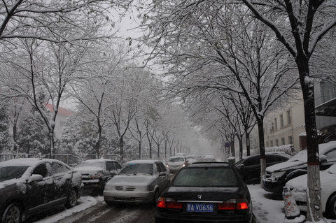 在大雪中行进的车辆 