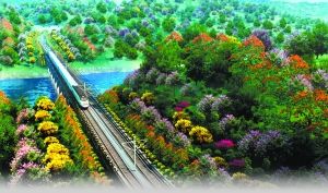 ��·��̬�����ִ�Ч��ͼ