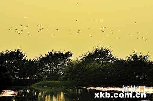 ��ɳʪ���Ļ���12�տ��ཫ�ٰ�ӭ������