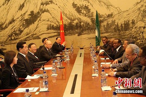 中国全国政协主席贾庆林当地时间1月28日下午在亚的斯亚贝巴会见非盟委员会主席让·平。中新社记者 邢利宇 摄