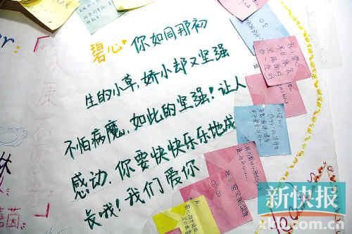 <em>发型</em>师救<em>女</em>,请您去<em>剪头发</em>_新闻中心_新浪网