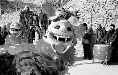 舞狮戴猪头 村民讨吉祥 寓意肥猪拱门 表达过年