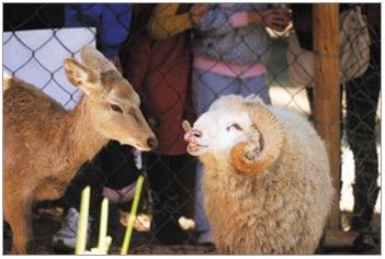 ����¹�������˽��ճɾ���ר�ҳƺ����к��