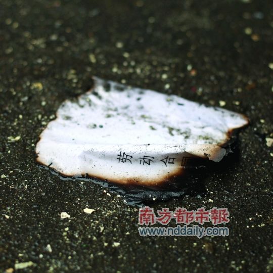 愁满地厂零落