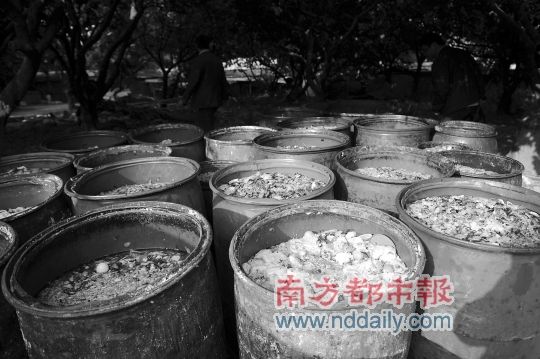 东莞三打两建 严查地沟油