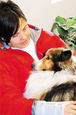 牧羊犬走失五十三天终于回家