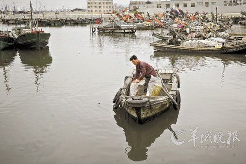 由于水质污染严重，鱼类锐减，练江出海口的渔船也大多停在港内。渔民们面临无鱼可打的局面，渔船数量也大大减少