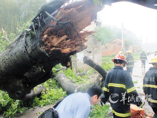 广东佛山三水大塘镇遭龙卷风袭击 近7000人断