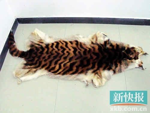 知情杨永南传给记者的虎皮照，但是否是真虎皮不得而知。