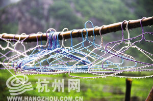 前几天闷热是入梅预演今起到周五潮湿暂退