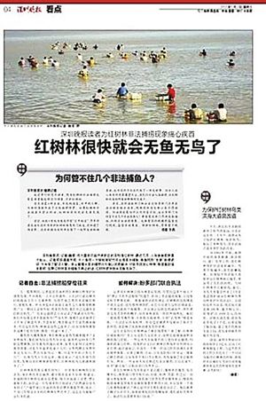 数百人一夜捞走几千斤贝壳