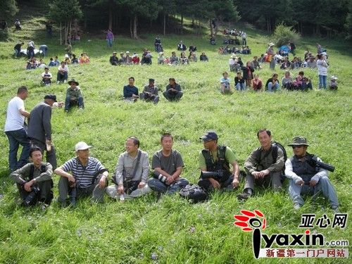 亚心论坛免费邀请摄影爱好者去西白杨沟风景外