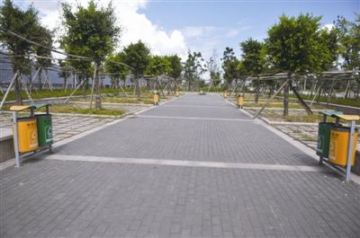 沿江景观带布“垃圾桶阵”市民直呼“煞风景”