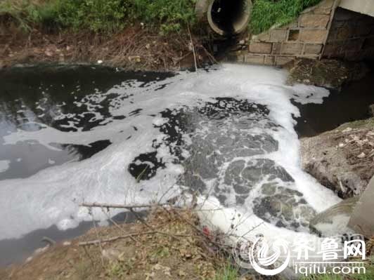 高唐企业污水直排河道续:官方称月底彻底解决