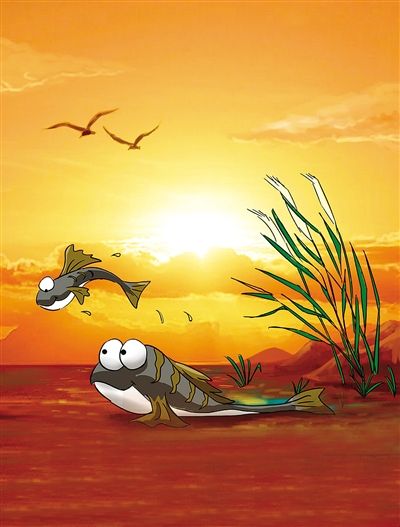 洞头海洋故事:蓝蓝的海上,蓝蓝的故事在传扬