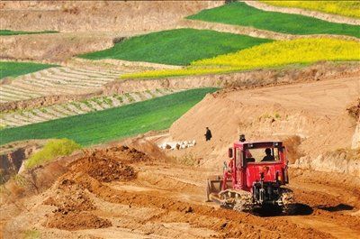 4月3日，一辆推土机正在进行土地整治。远处的冬小麦和油菜等农作物行将被铲平掩埋。新华社发