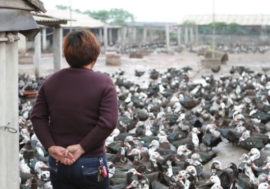 �ֻ��������Լ���Ѽ�Ӳ�֪��ô��źá����� ��