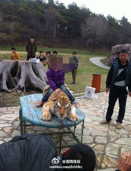 ����ʡ������԰���ο����ϻ���Ӱ��ͼ��΢��