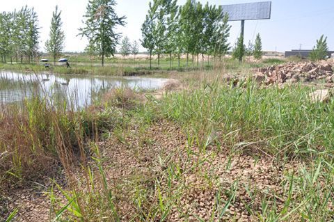 ͼΪ�����ཬ�㵹�ֳ�