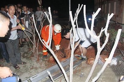 车祸中,夫妇被运渣车泥土掩埋 压断双腿丈夫执意先救妻子