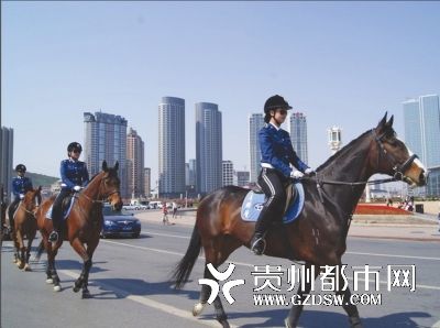 公开女网站养马手机骑警免费下载vip电视剧的成本图片