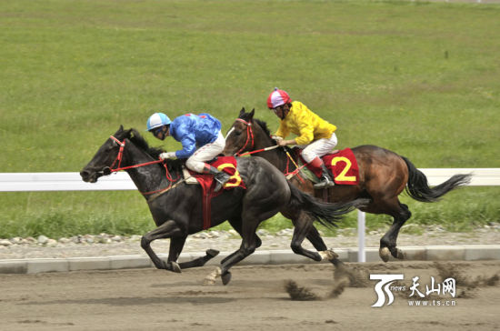 2013中国那拉提速度赛马公开赛举办