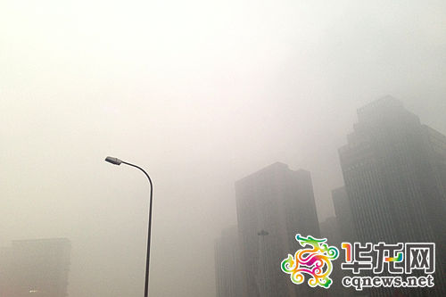 大雾致重庆多条高速交通管制 出行可打12122
