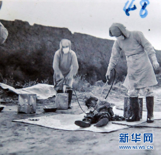  ���Ƿ��ĵ�α���޹�����������˾��Ա�μ�1940��11�¼���ʡũ�������ߡ����ߡ����Ƭ��1��7���㣩��