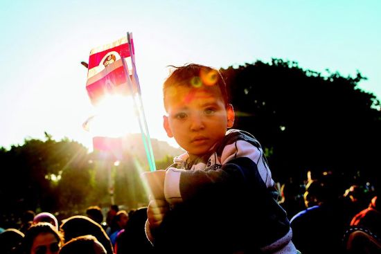 统计显示埃及新宪法支持率超九成