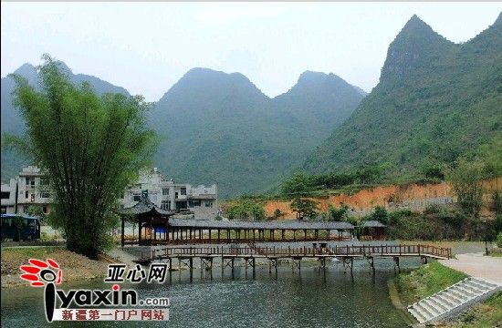 巴马人口普查_巴马香猪(2)