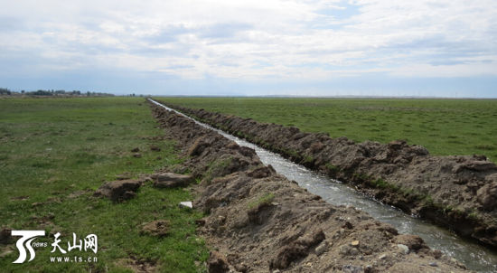 哈巴河住村工作组:一条引水渠让千亩草场重现