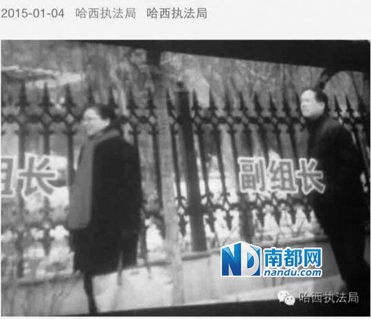 �鳤���鳤�����