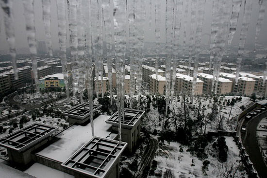 图文:郴州城腐竹v图文冰雪黄瓜胡萝卜图片