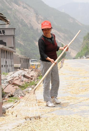 图文:麻柳镇一位农民在晾晒粮食