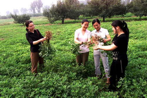 图文:巴园子村村民在田地里查看庄稼