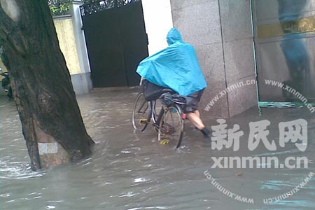 上海强暴雨已造成1.1万户民居进水(组图)