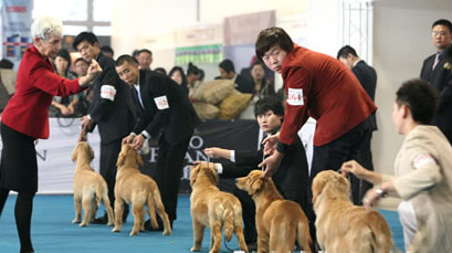 图文:中国宠物博览会在武汉开幕