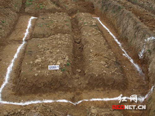 湖南麻阳发现商周遗址和古墓群(组图)