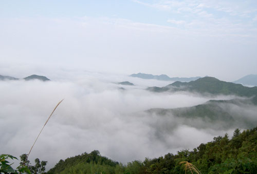 组图:杭州东天目山出现云山雾海景象