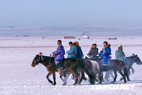 组图:内蒙古锡林郭勒草原天气明显较往年寒冷