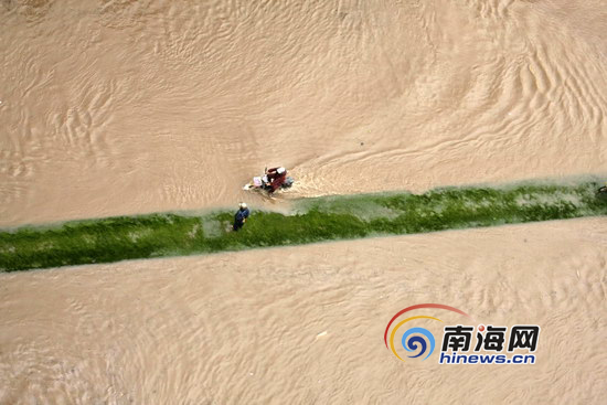 海南两会委员建言恢复海口水城旧貌(组图)