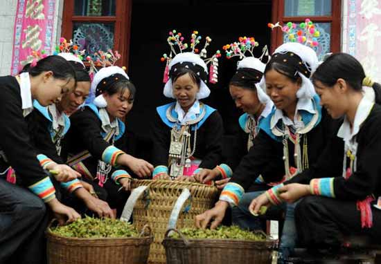 组图:云南文山州特产带动当地民众增收