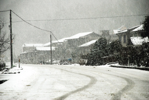 今年的第一场雪让我省最北端的县城披上银装